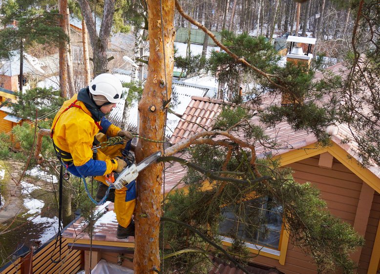 5 Crucial Steps to Prepare Your Home for an Exterior